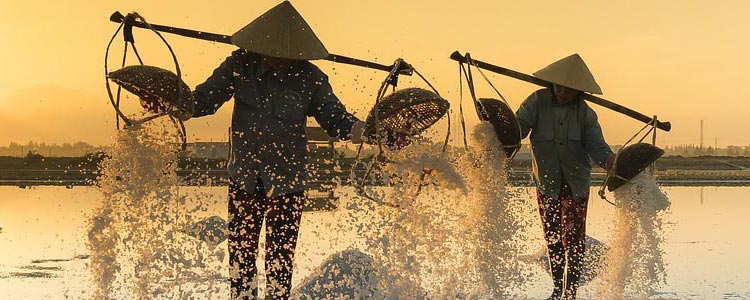 榮譽(yù)資質(zhì)